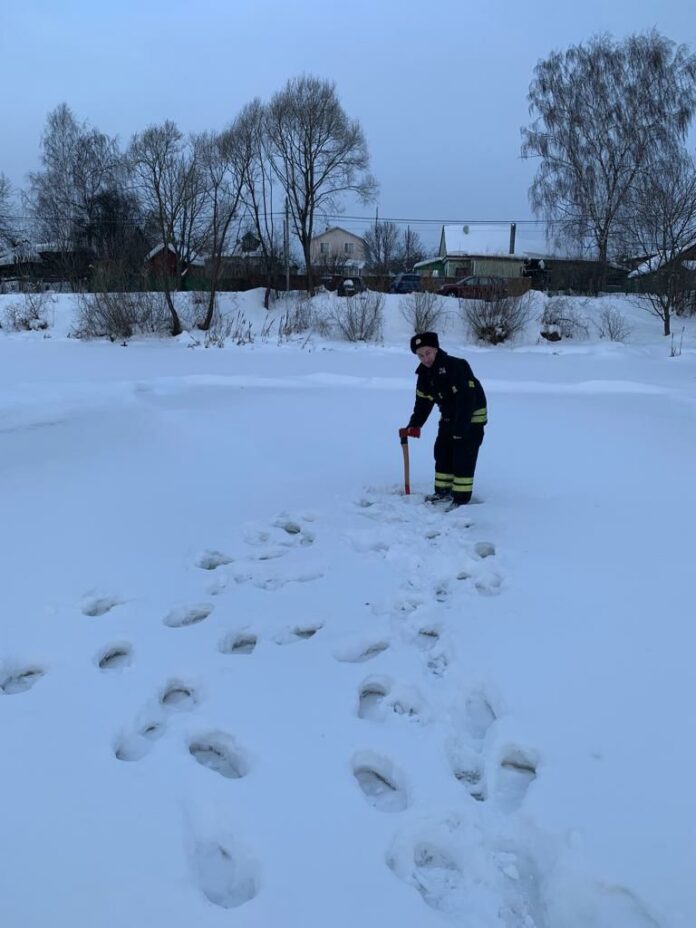 На реках Пахра и Гнилуша ледяной наст стал тоньше