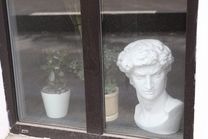 Жителей Подольска приглашают принять участие в конкурсе фотографий «Дом не клетка»