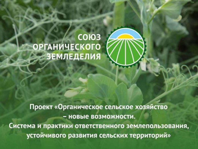Союз органического земледелия подвел итоги проекта в рамках президентского гранта
