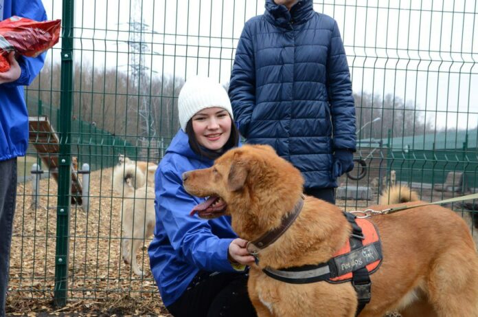 Партийцы и молодогвардейцы Подольска посетили приют для бездомных животных