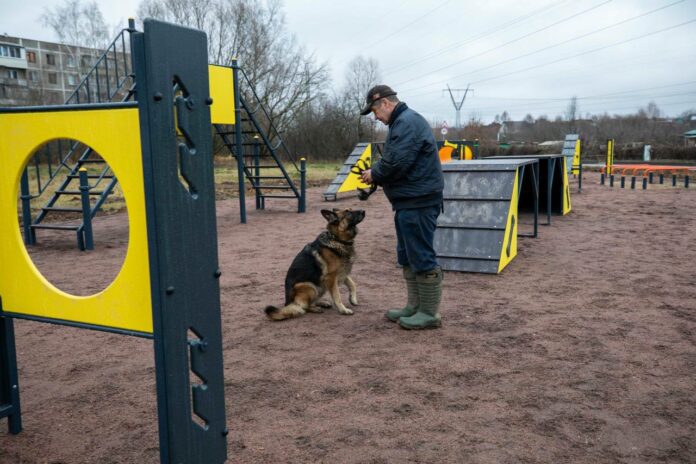 На новую дрессировочную площадку поставили оборудование