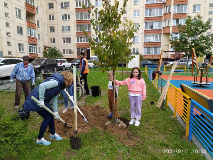 В Большом Подольске состоялась экологическая акция «Наш лес. Посади свое дерево»