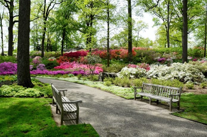 На месте старого туберкулезного диспансера в Подольске разобьют парк