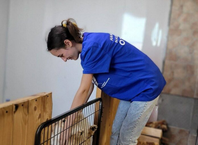 Подольские молодогвардейцы передали гуманитарную помощь частному приюту для собак «Игорь и его собаки»