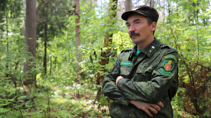 Жители округа могут прослушать плейлист от лесничего из Подмосковья на сервисе Яндекс.Музыка