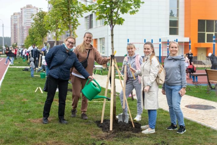 Центральной площадкой проведения экологической акции «Наш лес. Посади свое дерево» 11 сентября стала школа...