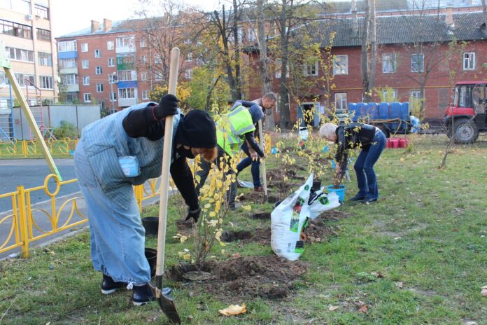 Возле детской игровой площадки в микрорайоне Климовск высадили 10 молодых рябин и 20 кустарников