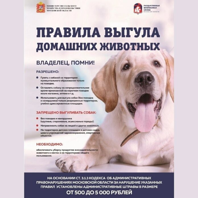 В Подольске владельцы собак обязаны соблюдать правила выгула своих питомцев