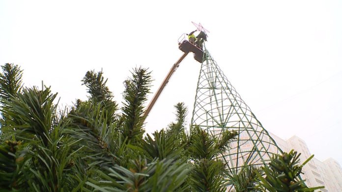 В Подольске в преддверии новогодних праздников установят более 20 елей