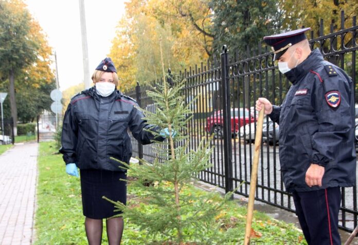 Акцию «Наш лес. Посади свое дерево» провели полицейские совместно с общественниками в Подольске