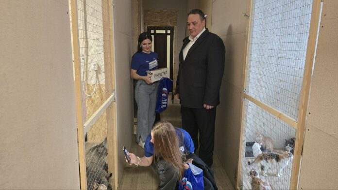 Партийцы Подольска оказали помощь приюту для бездомных кошек