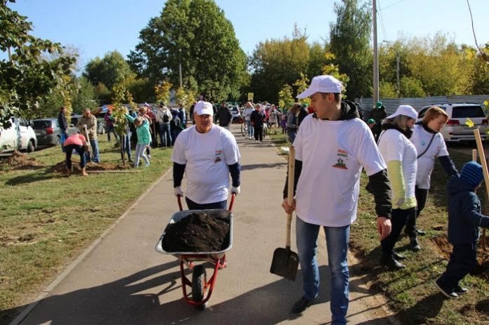 Подведены итоги экологической акции «Наш лес. Посади свое дерево»