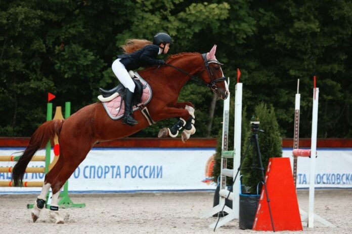 В Подольске состоялся 22-й турнир Кубок памяти Александра Васильевича Никулина — первого мэра