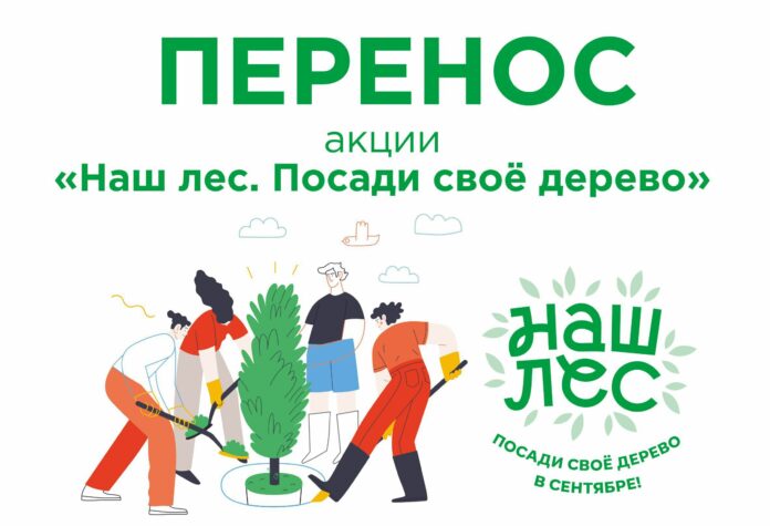 Акция «Наш лес. Посади своё дерево» в Подольске переносится из-за непогоды