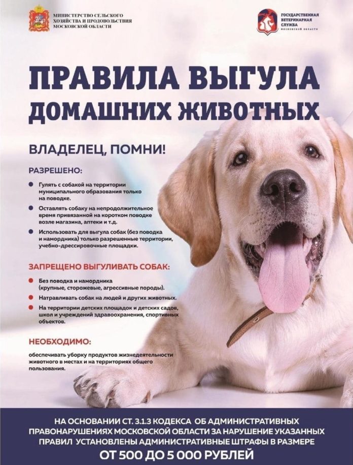 Правила выгула домашних животных