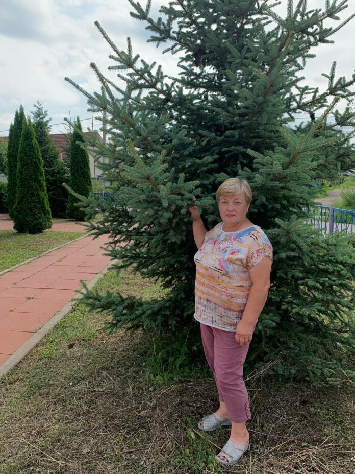 Старосту села выбрали в Покрове