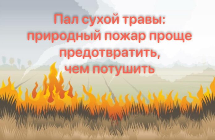Сухую траву поджигать строго запрещено