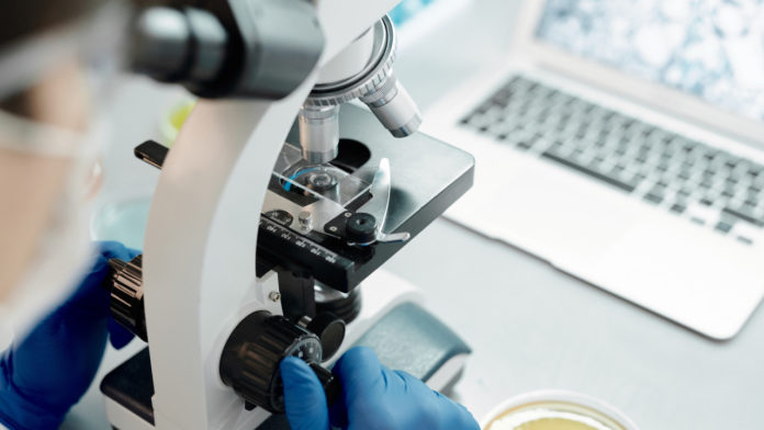 Вниманию подольчан: подмосковные ученые придумали как повысить эффективность борьбы с онкологией