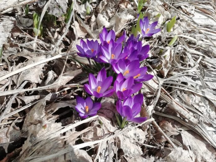 Сотрудники Водоканала вышли на корпоративный субботник