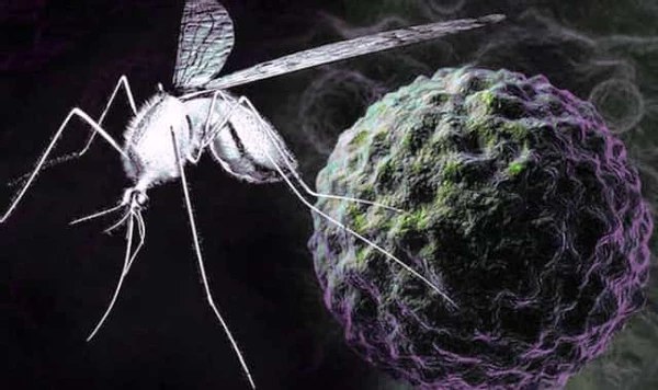 Информация для жителей округа