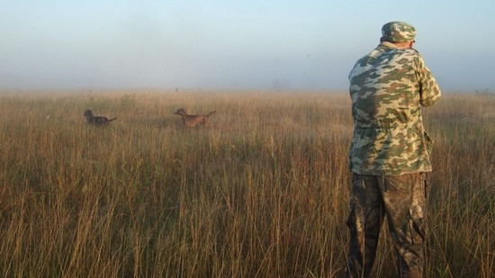 Новые правила охоты начали действовать в регионе с начала этого года