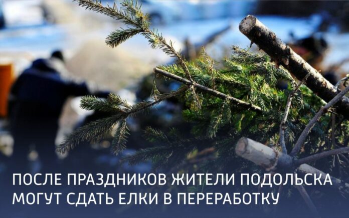 Жители Подольска смогут сдать новогодние елки на переработку после праздников
