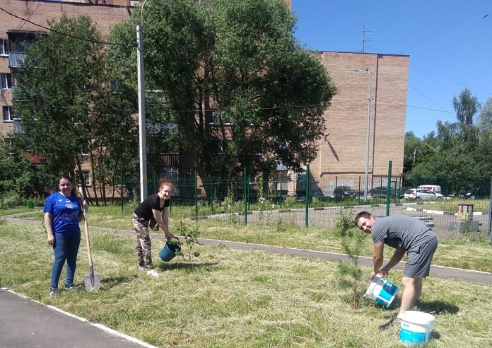 Жители округа высадили деревья на территории ЖК Эстет
