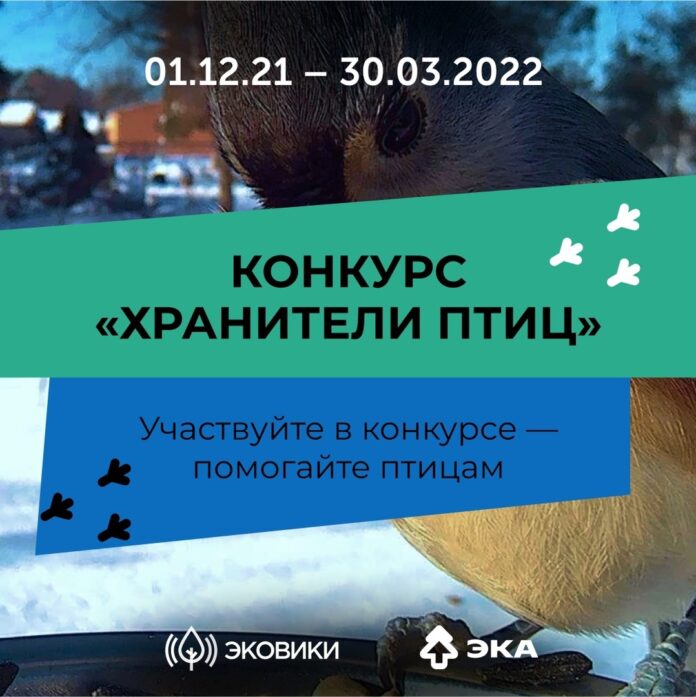 Принять участие в конкурсе «Хранители птиц» могут жители Подольска