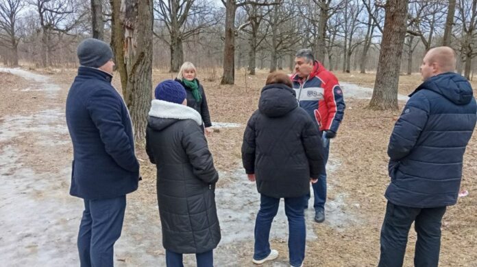 Партийцы проверили состояние лесной полосы в Подольске