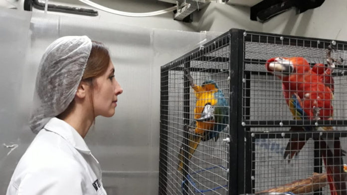 Ветклиники и шиномонтажи будут открыты на нерабочей неделе в Московской области