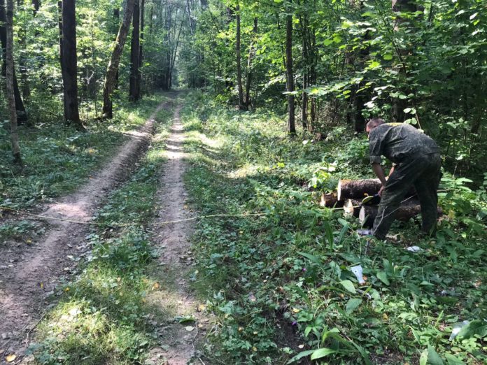 У деревни Курниково почистили просеки