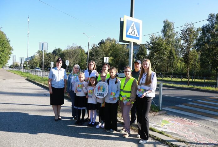 В Госавтоинспекции Подольска подвели итоги Единого дня профилактики детского дорожно-транспортного травматизма