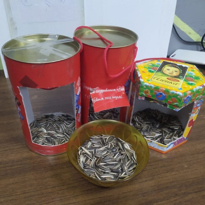 В акции  #птичкужалко приняли участие юные подольчане