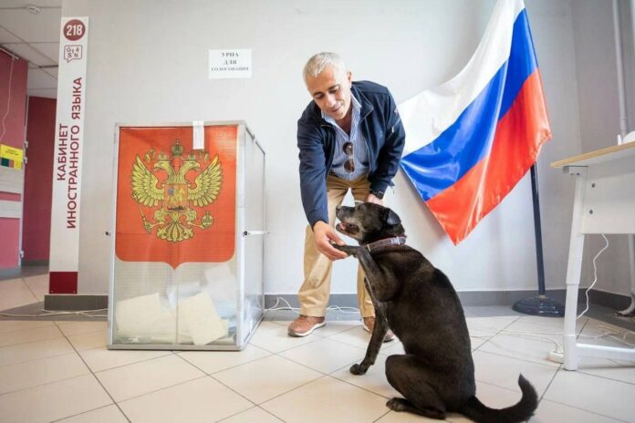 Известный подольский зоозащитник Игорь Айрапетян пришёл на выборы Губернатора Московской области не один, а...