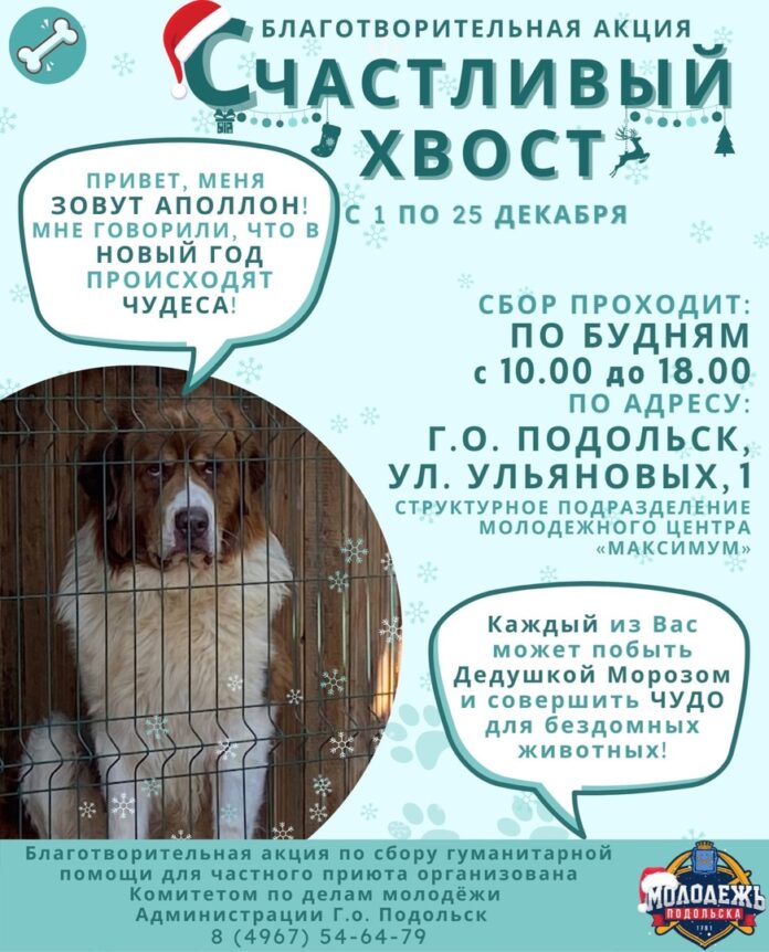 Стартовала благотворительная акция «Счастливый хвост» в Подольске