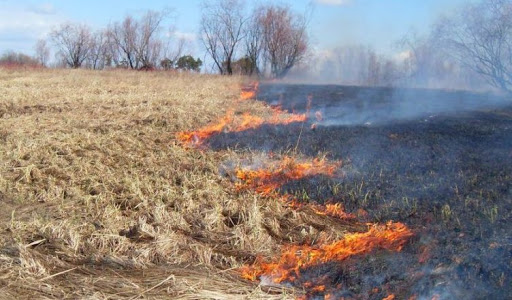 О соблюдении противопожарного режима в границах полос отвода и охранных зон путепроводов объектов —...