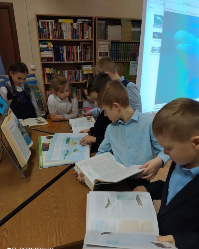 В библиотеке № 25 прошел экочас «Удивительный мир китов»