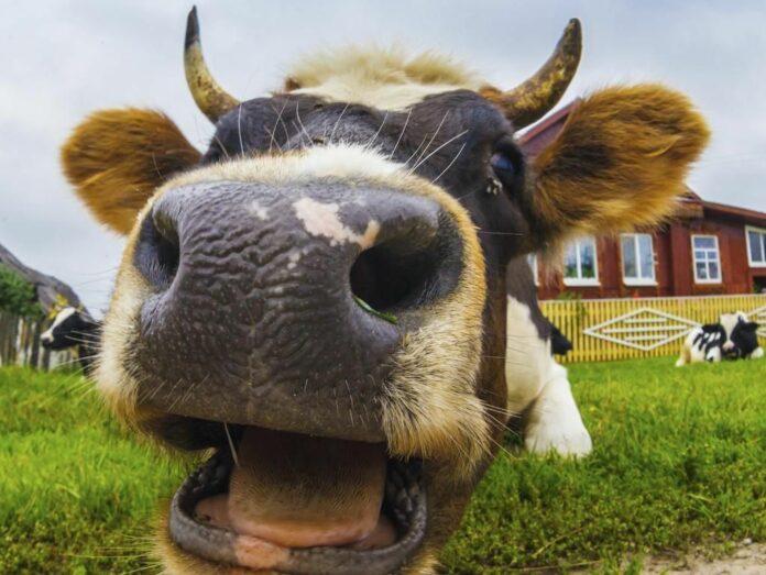 Информация для жителей округа