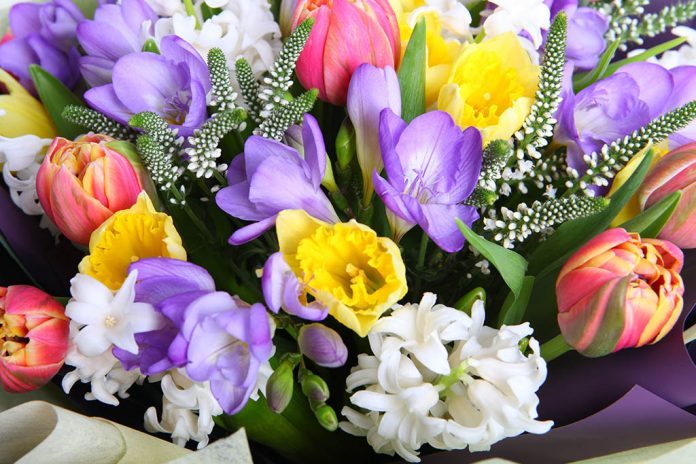 Подольчан приглашают 7 марта на концерт «Весна в душе» в КДЦ «Южный»