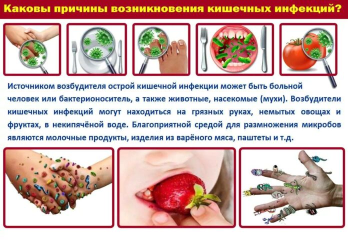 О профилактике кишечных инфекций в теплое время года