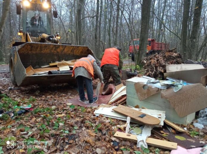 Очередной несанкционированный навал мусора обнаружен и ликвидирован в поселке Дубровицы