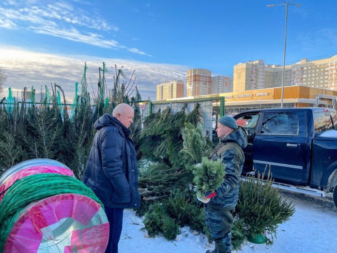 В Подольске легально работают 18 елочных базаров