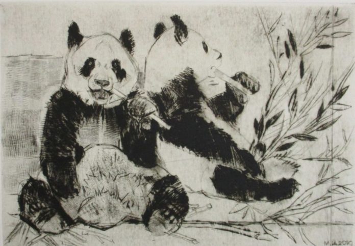 Выставка Ирины Маковеевой «ZOOпрактика» откроется в муниципалитете