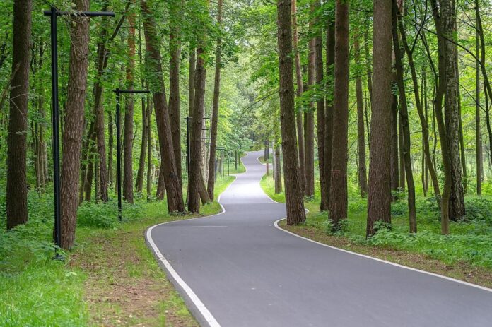 В «Дубровицком лесу» горокруга Подольск теперь есть пространство для прогулок
