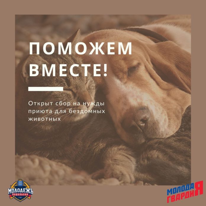 Подольское отделение МГЕР объявляет собирает корма для животных!