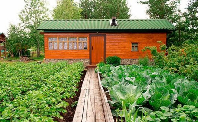 В Подмосковье работает call-центр по консультированию граждан о процедурах «дачной амнистии»