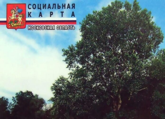 Информация по социальным картам жителя МО