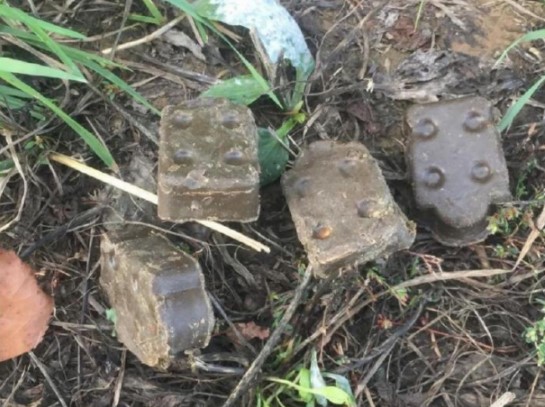 Вниманию подольчан: раскладка вакцины «Рабистав» проводится на территориях лесного фонда