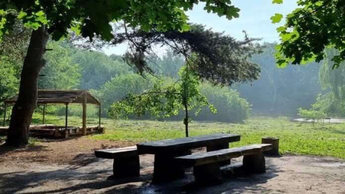 Подольское лесничество заняло третье место в конкурсе по благоустройству мест отдыха в лесах Подмосковья