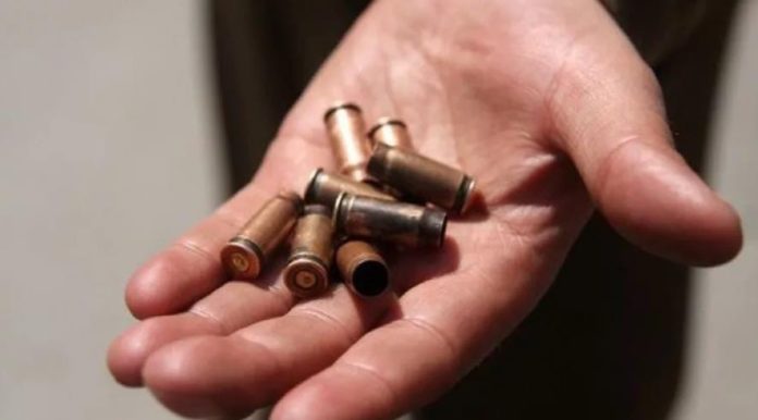 Полицейские задержали подозреваемого в хранении боеприпасов в Подольске